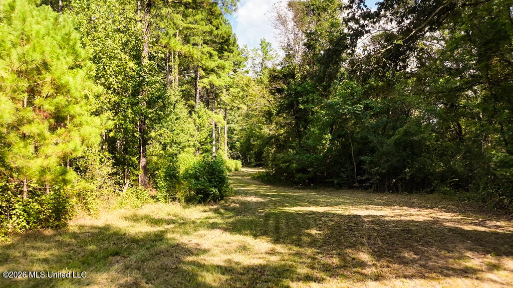 214 Cook Cobb Road Property Photo 25