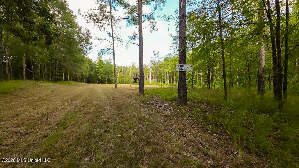 214 Cook Cobb Road Property Photo 42