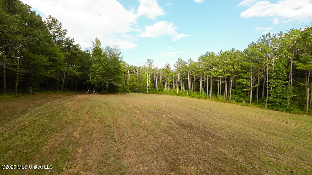 214 Cook Cobb Road Property Photo 44