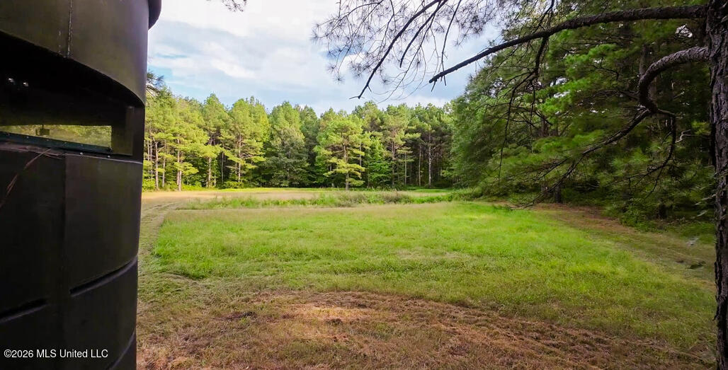 214 Cook Cobb Road Property Photo 48