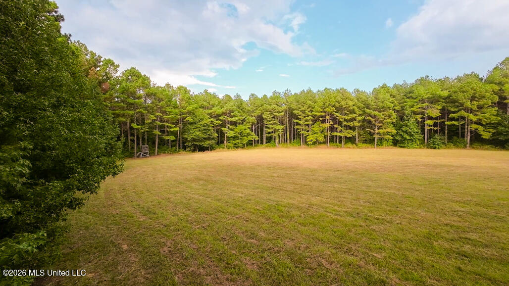 214 Cook Cobb Road Property Photo 50