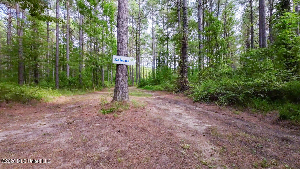 214 Cook Cobb Road Property Photo 53