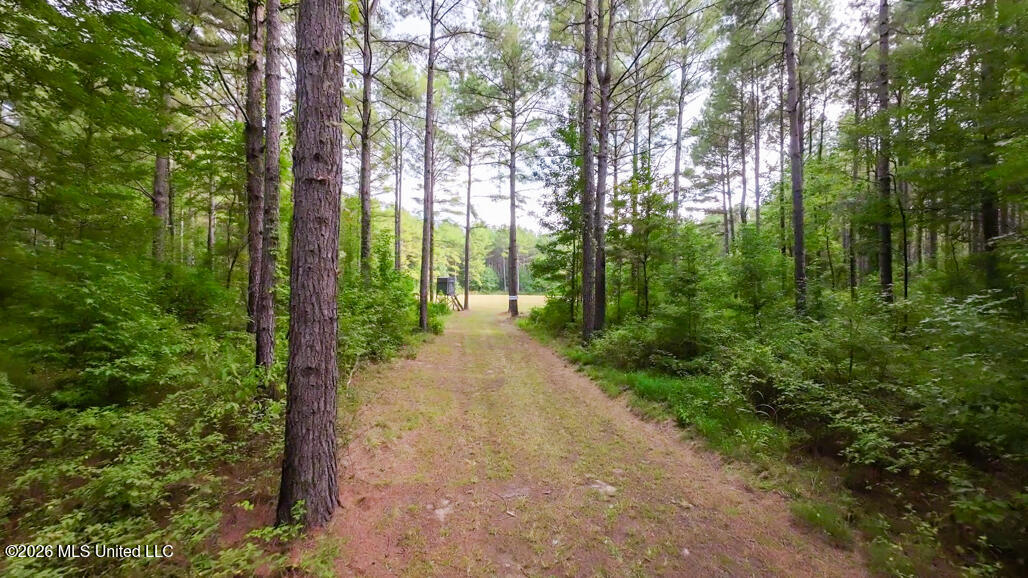 214 Cook Cobb Road Property Photo 54