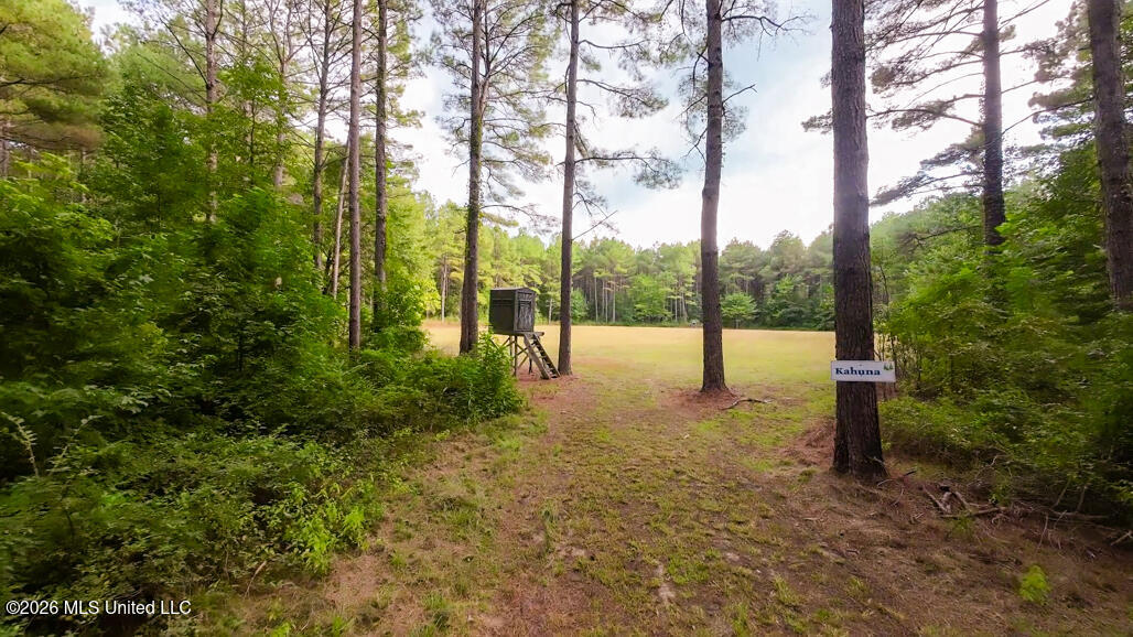 214 Cook Cobb Road Property Photo 55