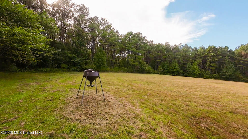 214 Cook Cobb Road Property Photo 56
