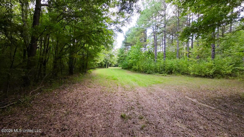 214 Cook Cobb Road Property Photo 58