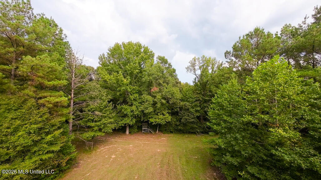 214 Cook Cobb Road Property Photo 59