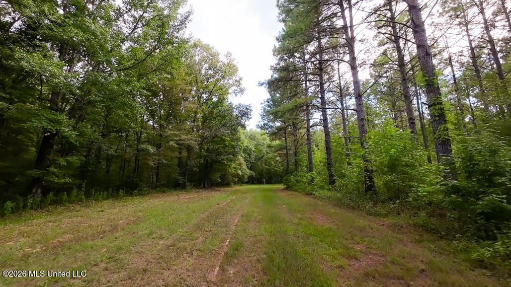 214 Cook Cobb Road Property Photo 60