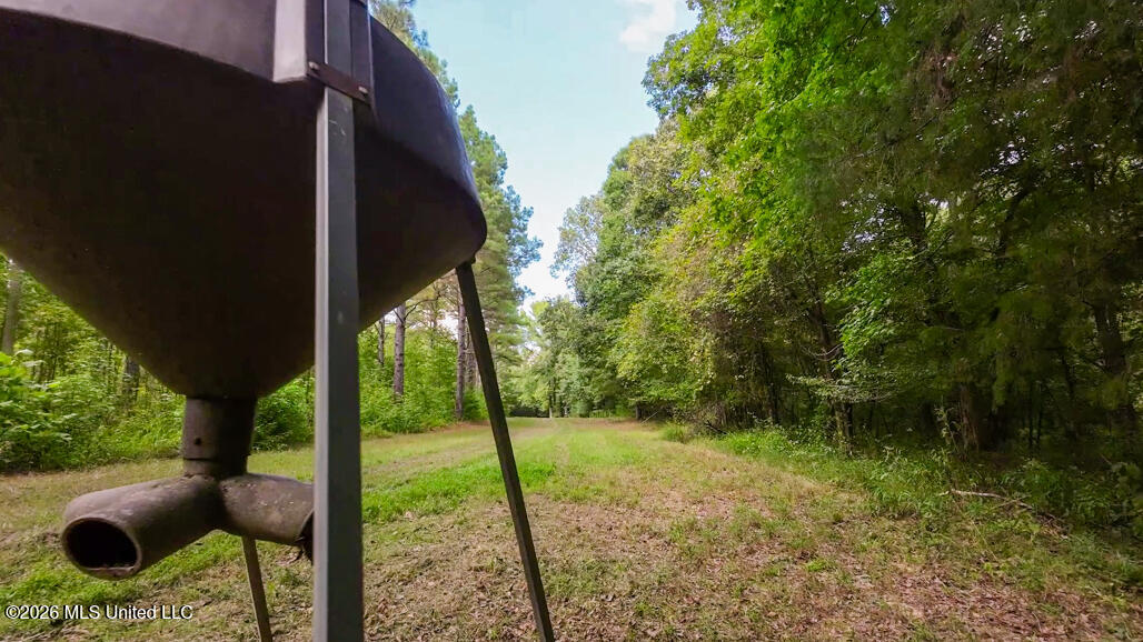 214 Cook Cobb Road Property Photo 61