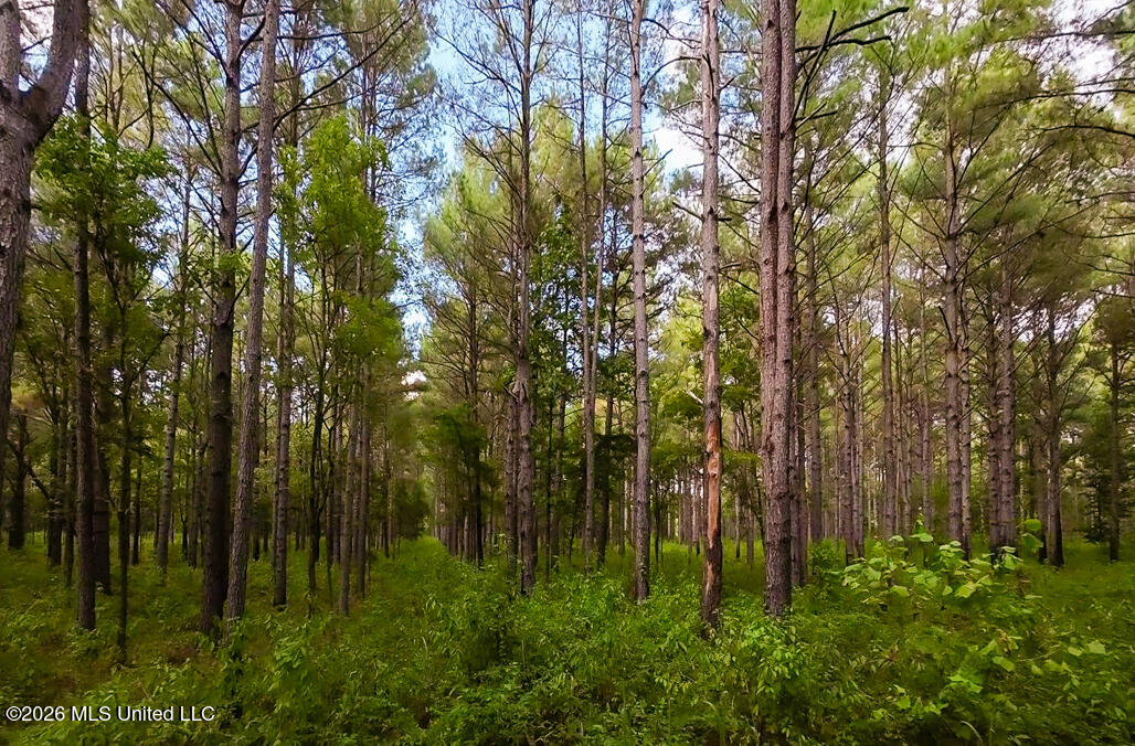 214 Cook Cobb Road Property Photo 62