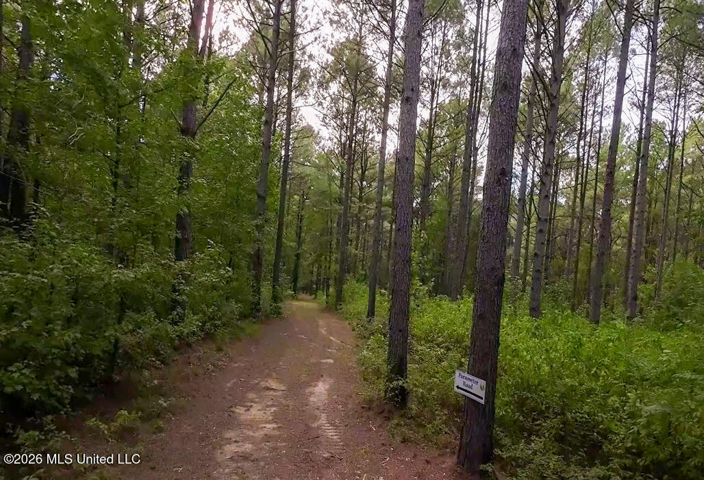 214 Cook Cobb Road Property Photo 63