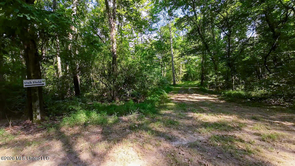 214 Cook Cobb Road Property Photo 64