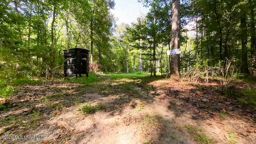 214 Cook Cobb Road Property Photo 66