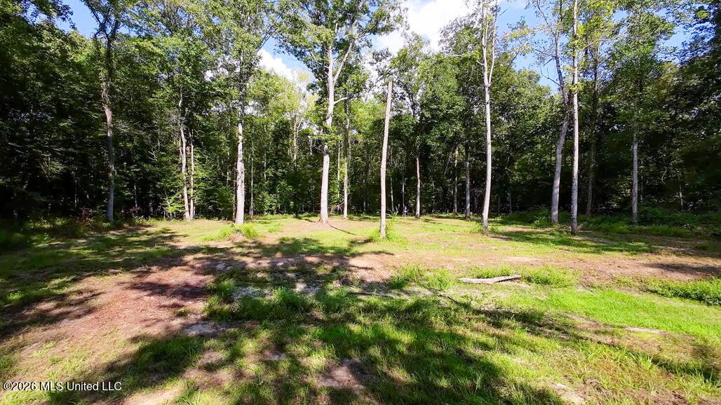 214 Cook Cobb Road Property Photo 67