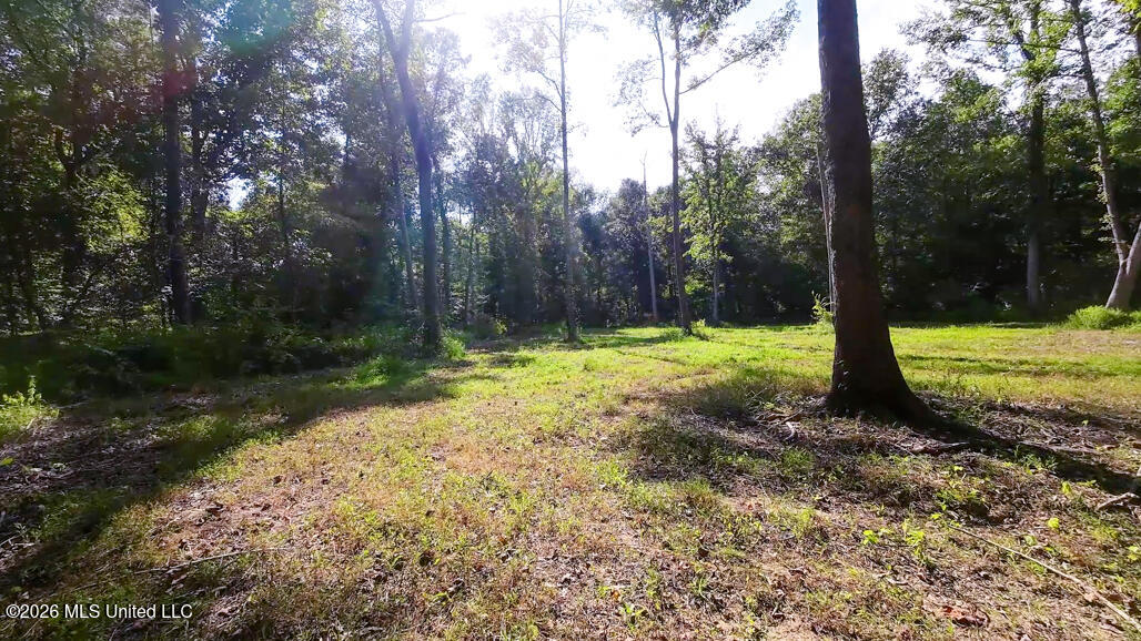 214 Cook Cobb Road Property Photo 68