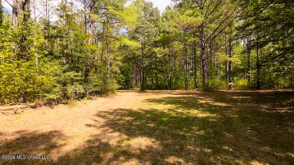 214 Cook Cobb Road Property Photo 77