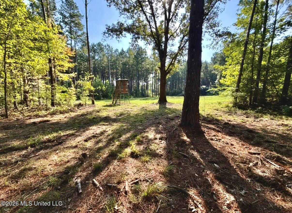 Mississippi 18 Property Photo 2