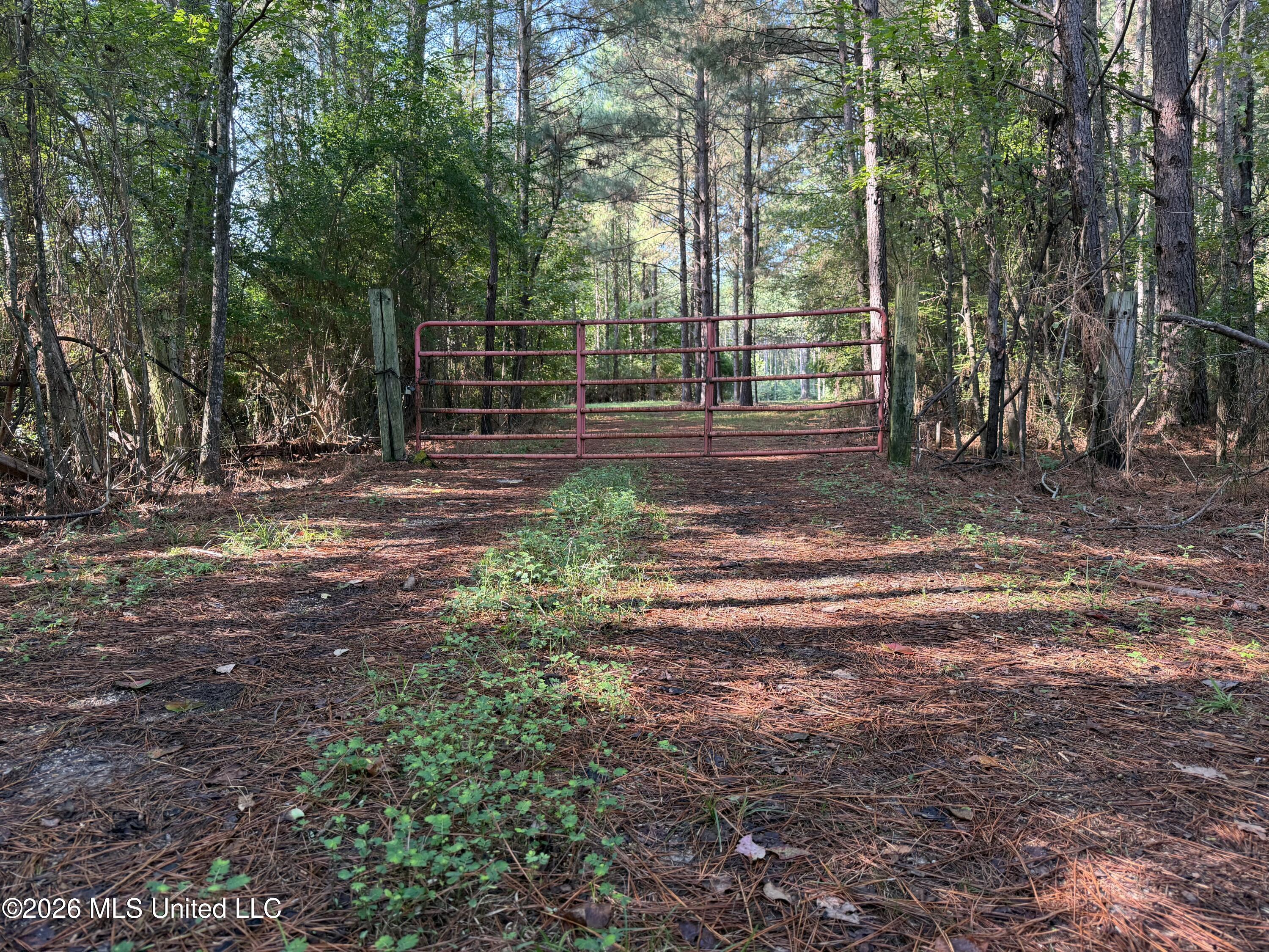 Mississippi 18 Property Photo 3