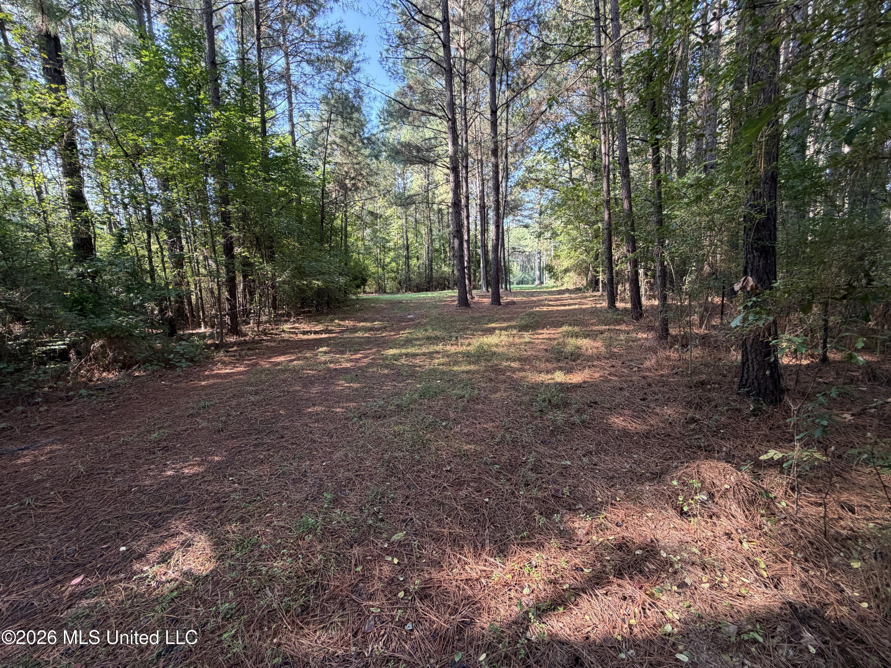 Mississippi 18 Property Photo 4