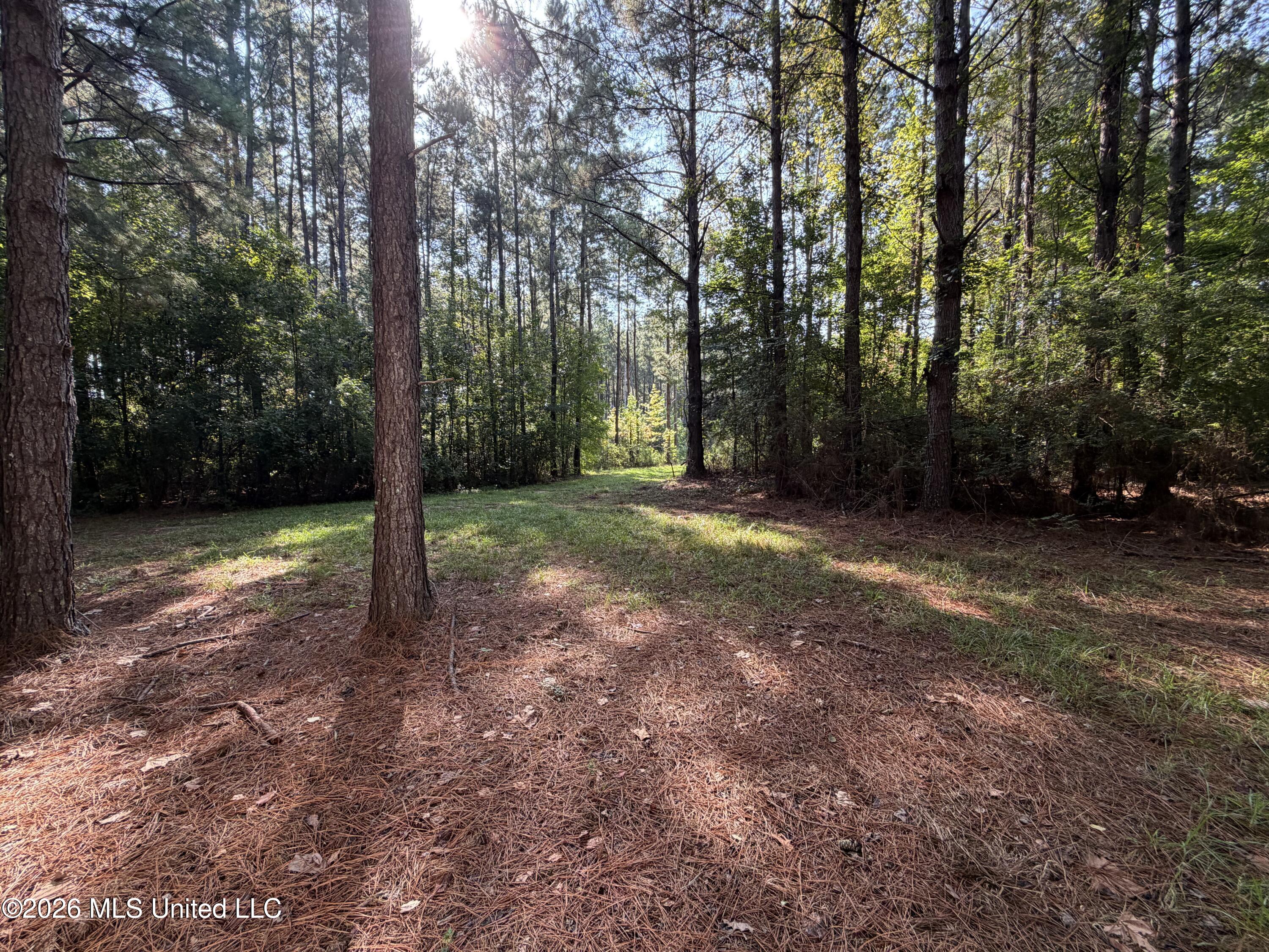 Mississippi 18 Property Photo 5