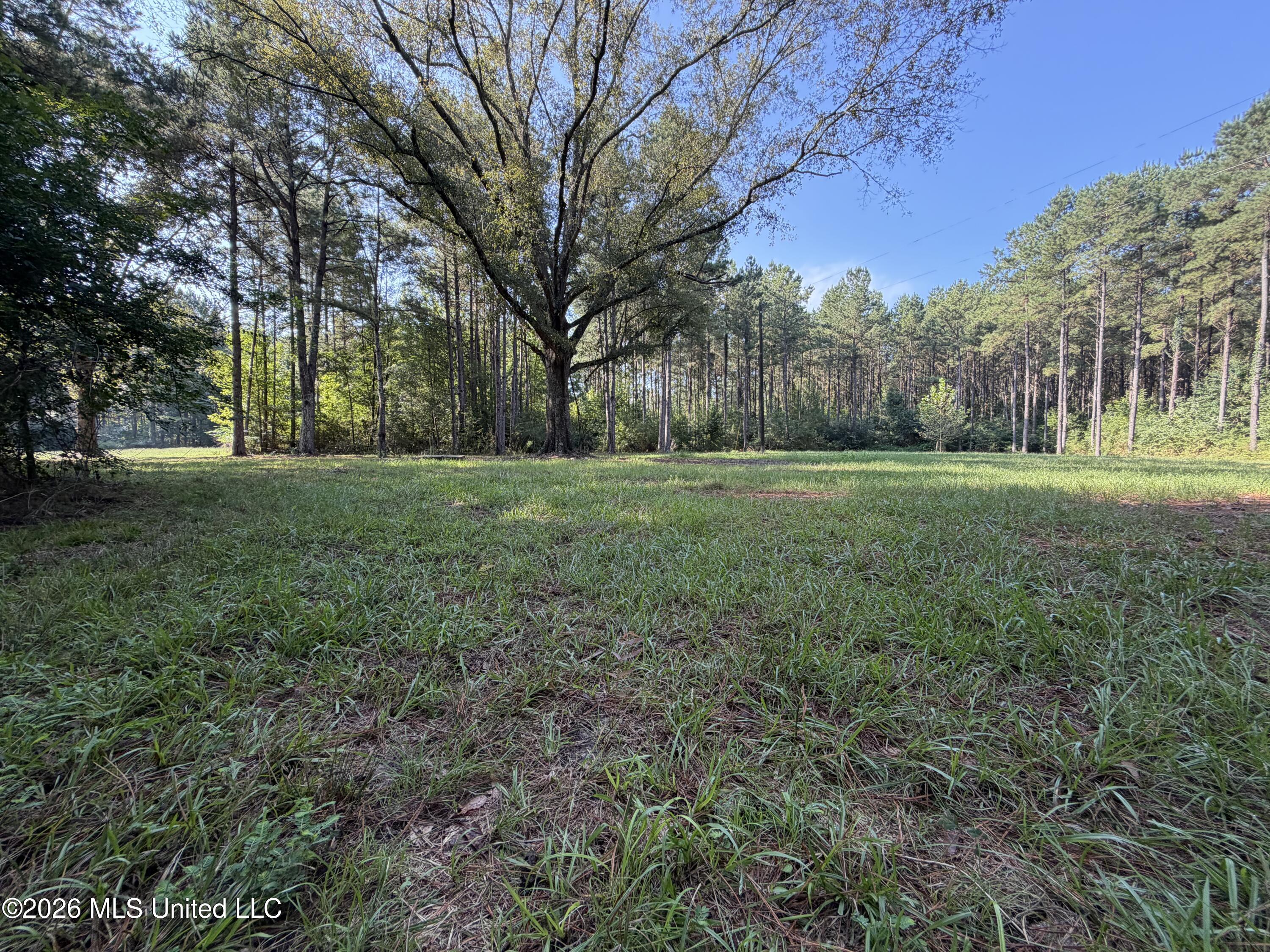 Mississippi 18 Property Photo 7