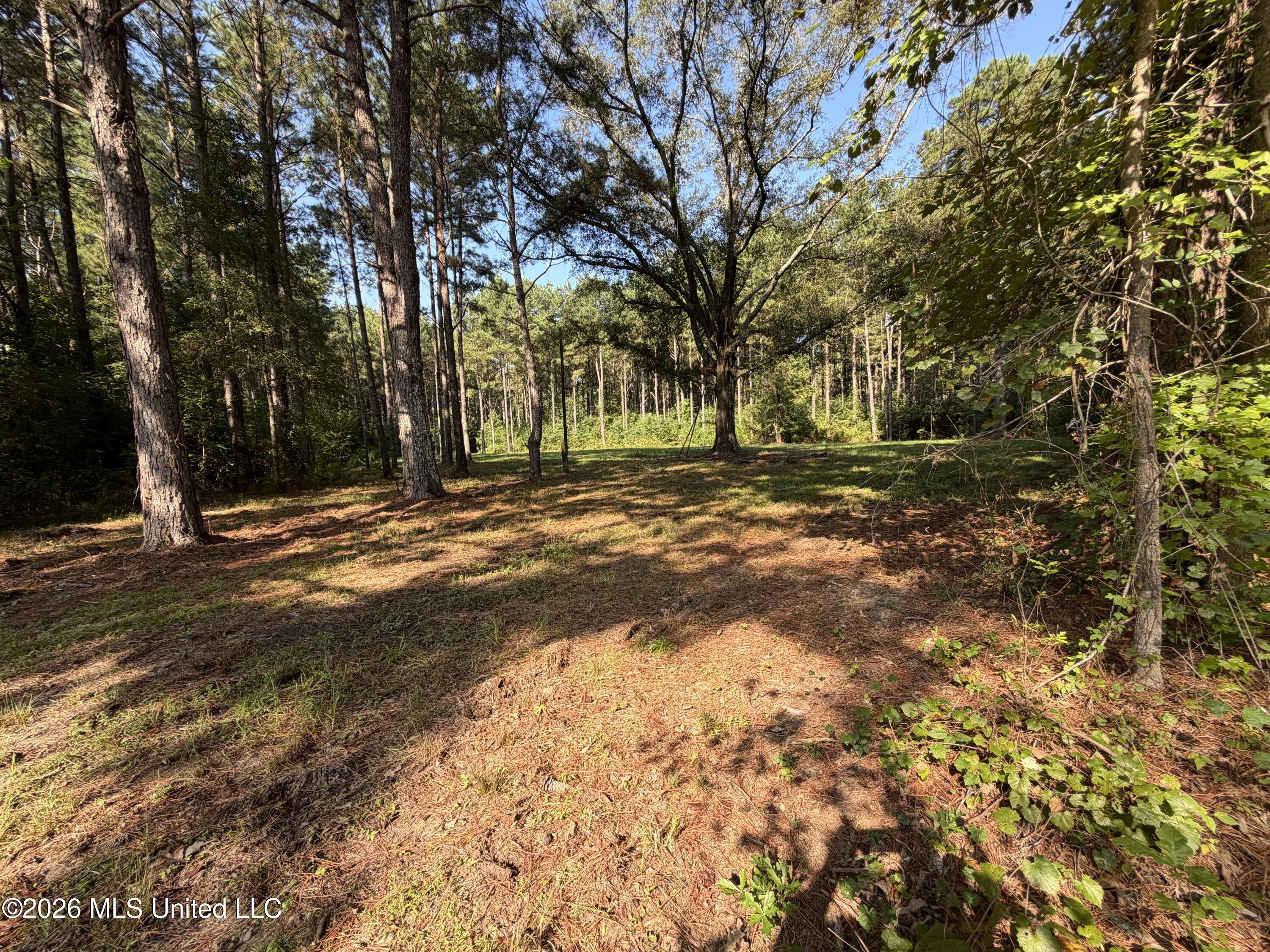 Mississippi 18 Property Photo 11