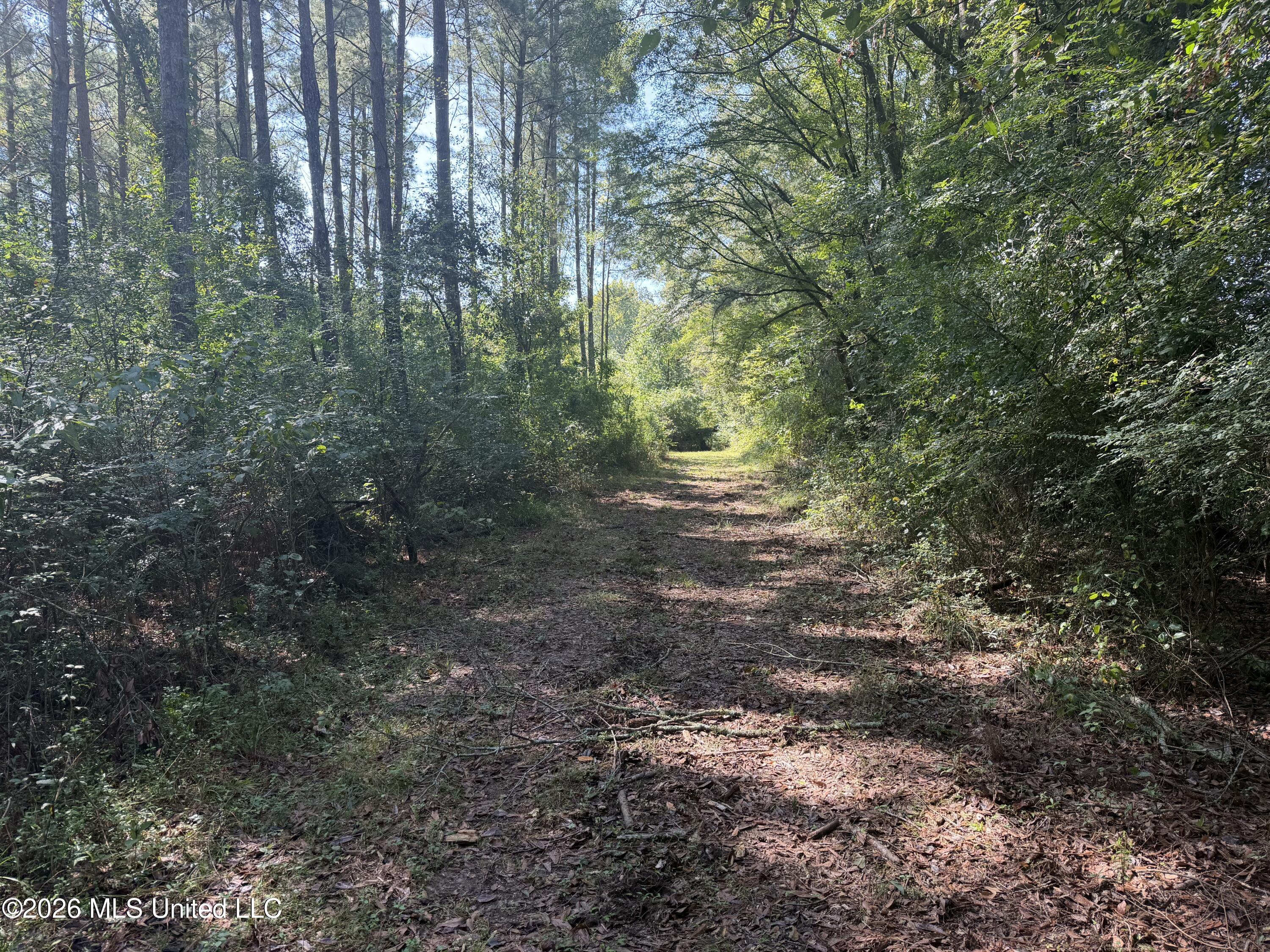 Mississippi 18 Property Photo 14