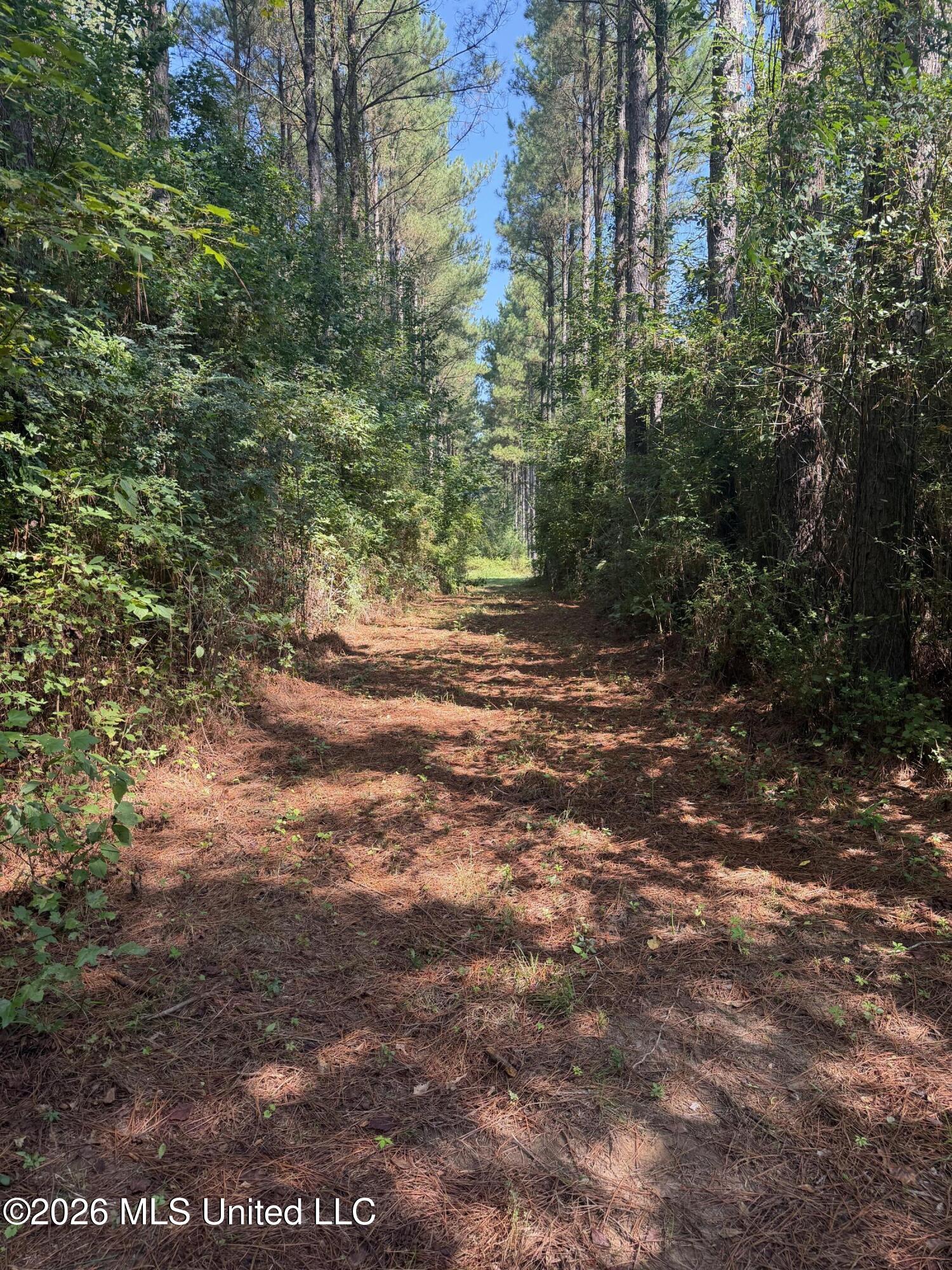 Mississippi 18 Property Photo 15