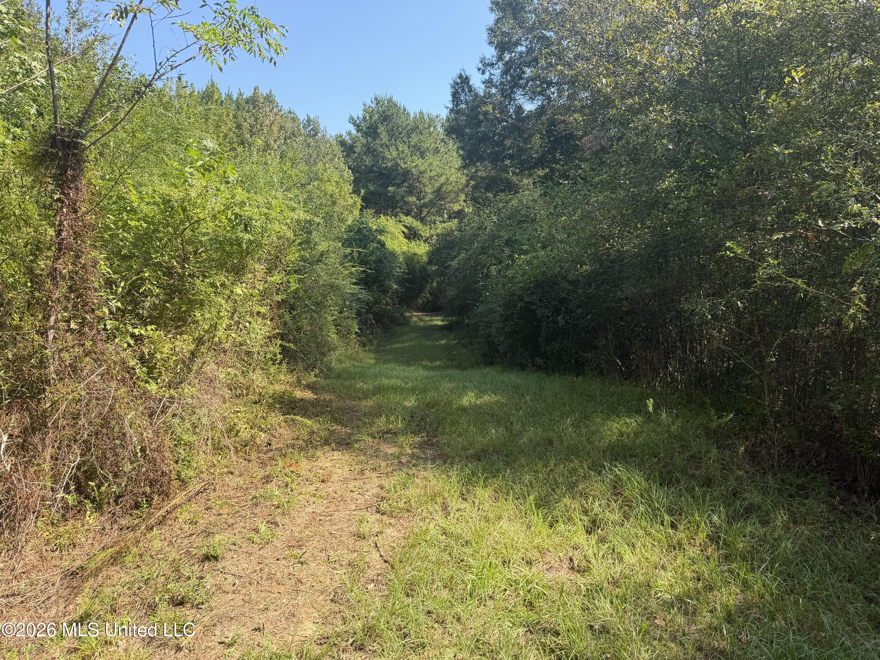 Mississippi 18 Property Photo 16