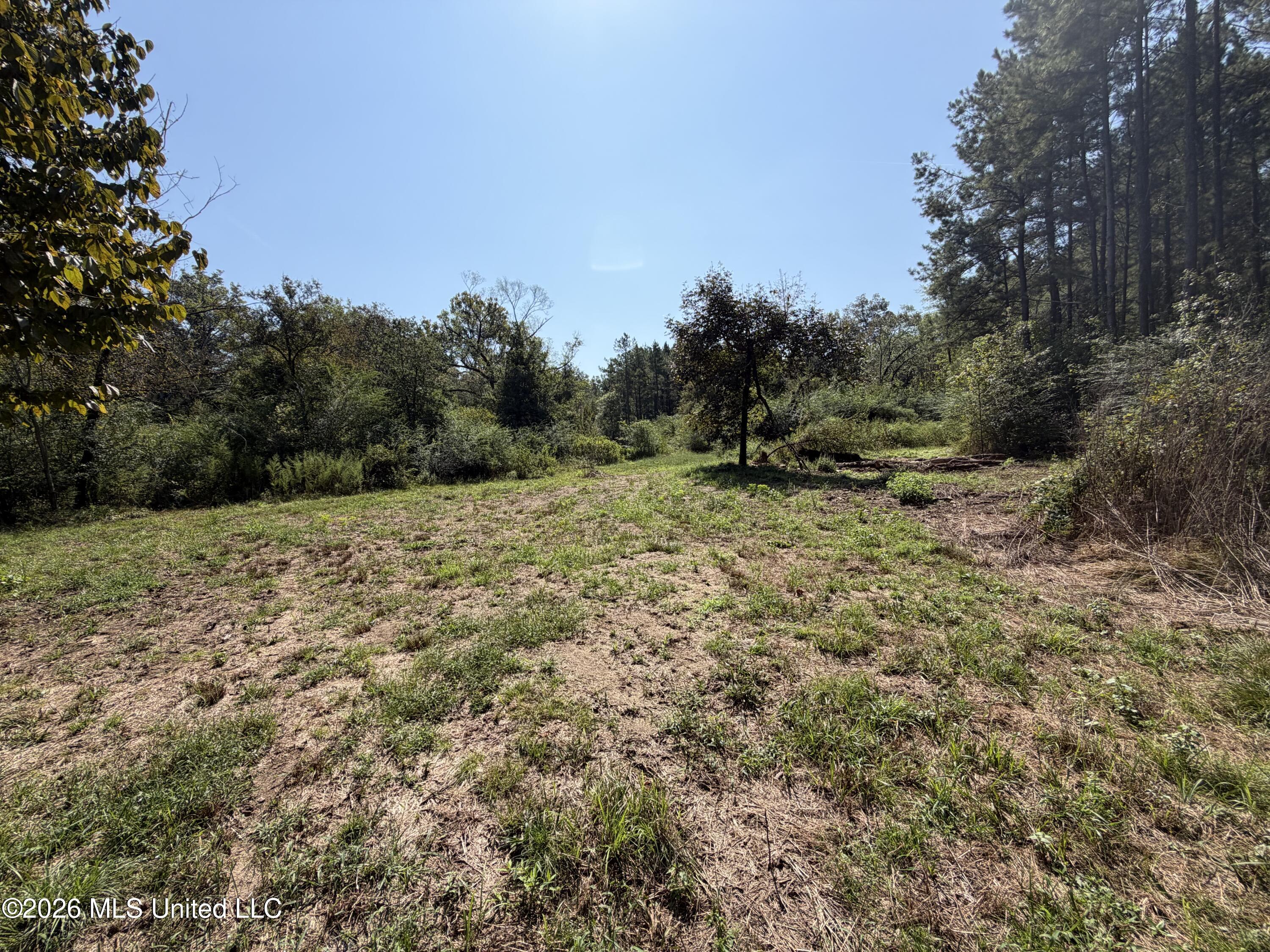 Mississippi 18 Property Photo 24