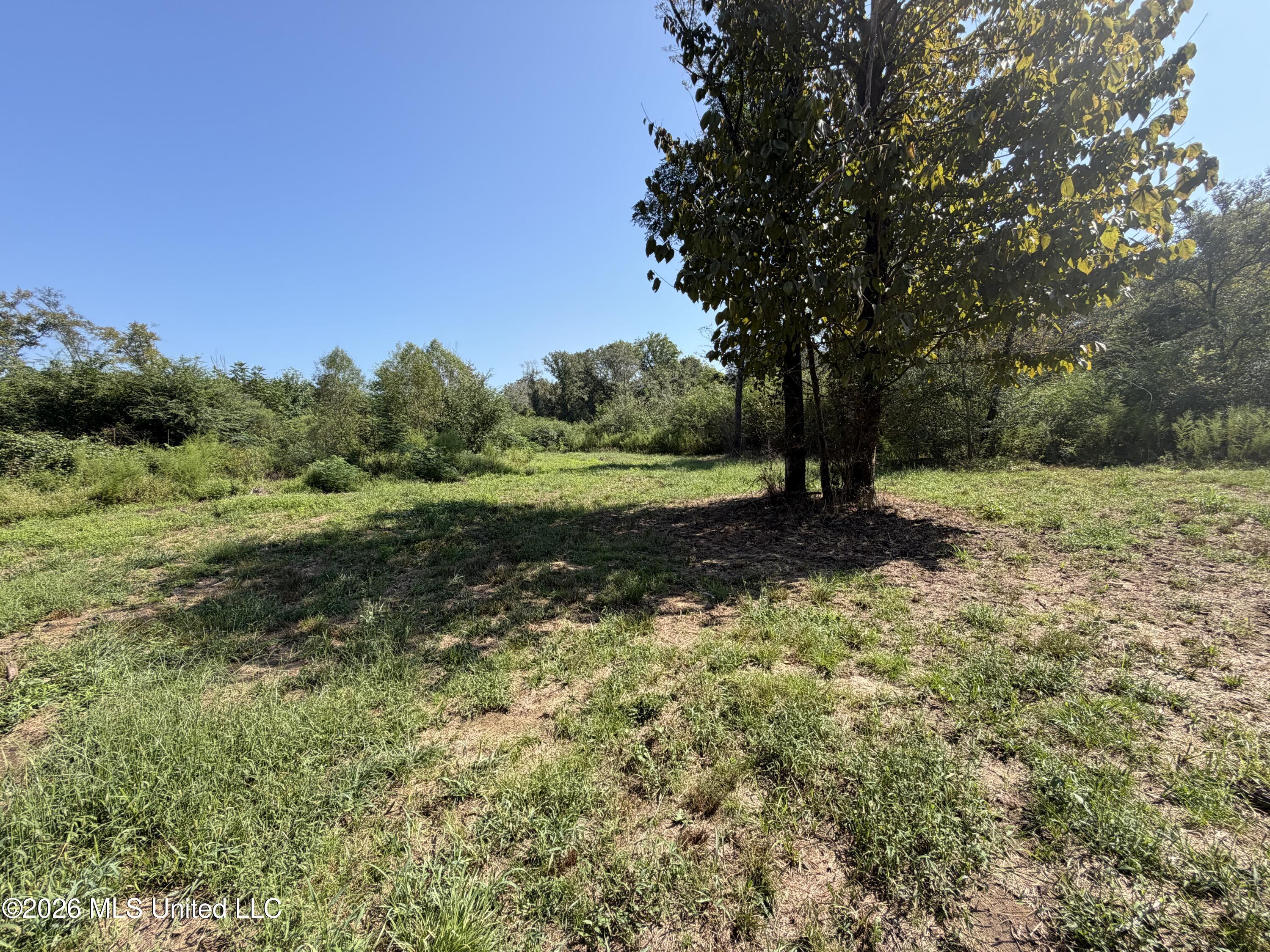 Mississippi 18 Property Photo 25