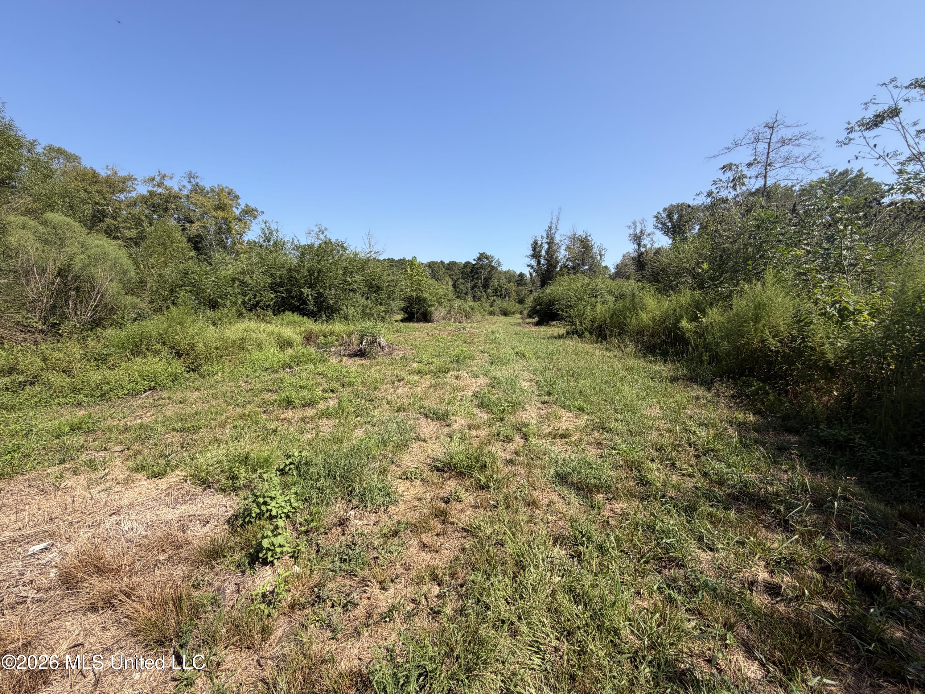 Mississippi 18 Property Photo 26