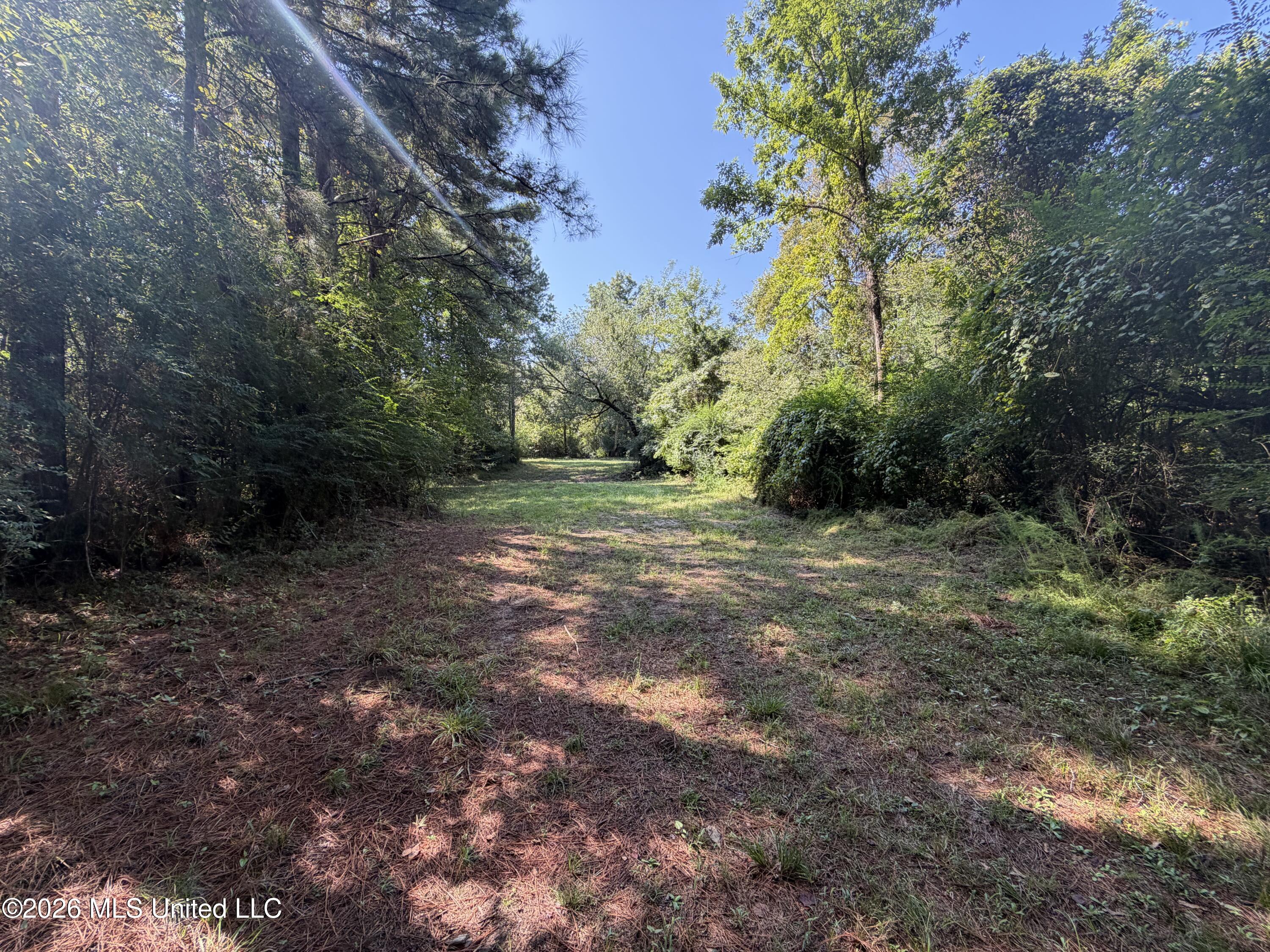 Mississippi 18 Property Photo 31