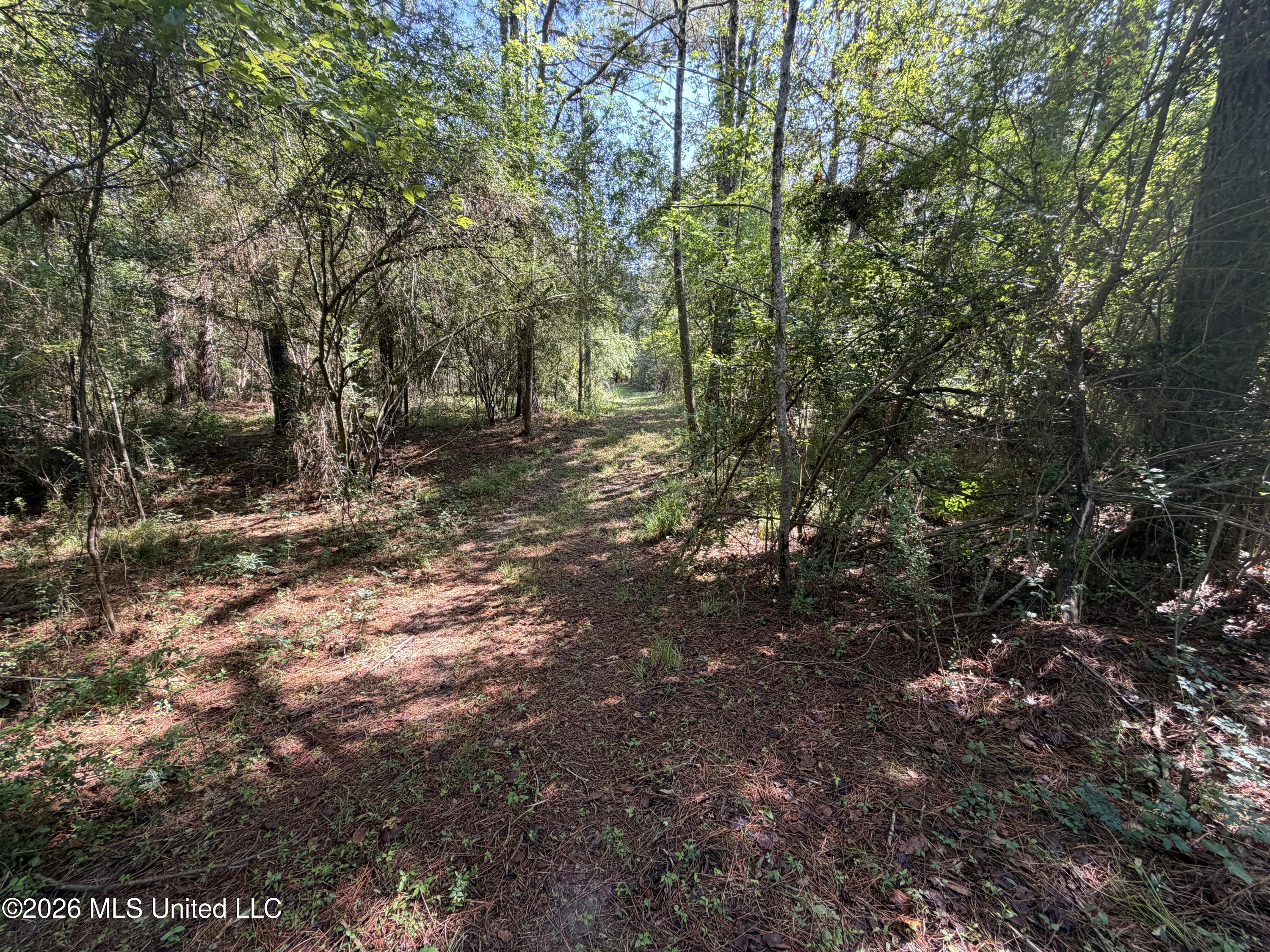 Mississippi 18 Property Photo 32