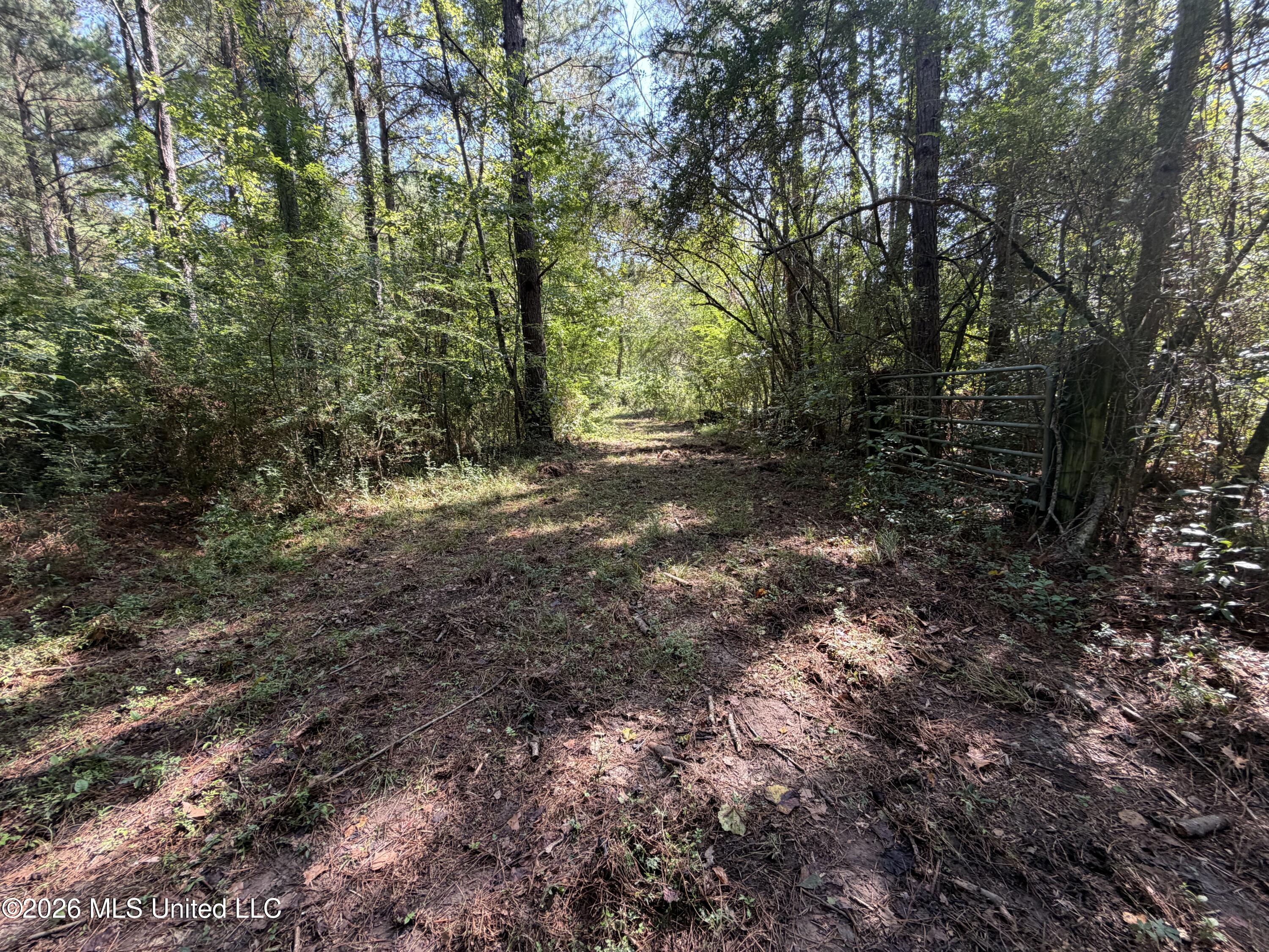 Mississippi 18 Property Photo 34