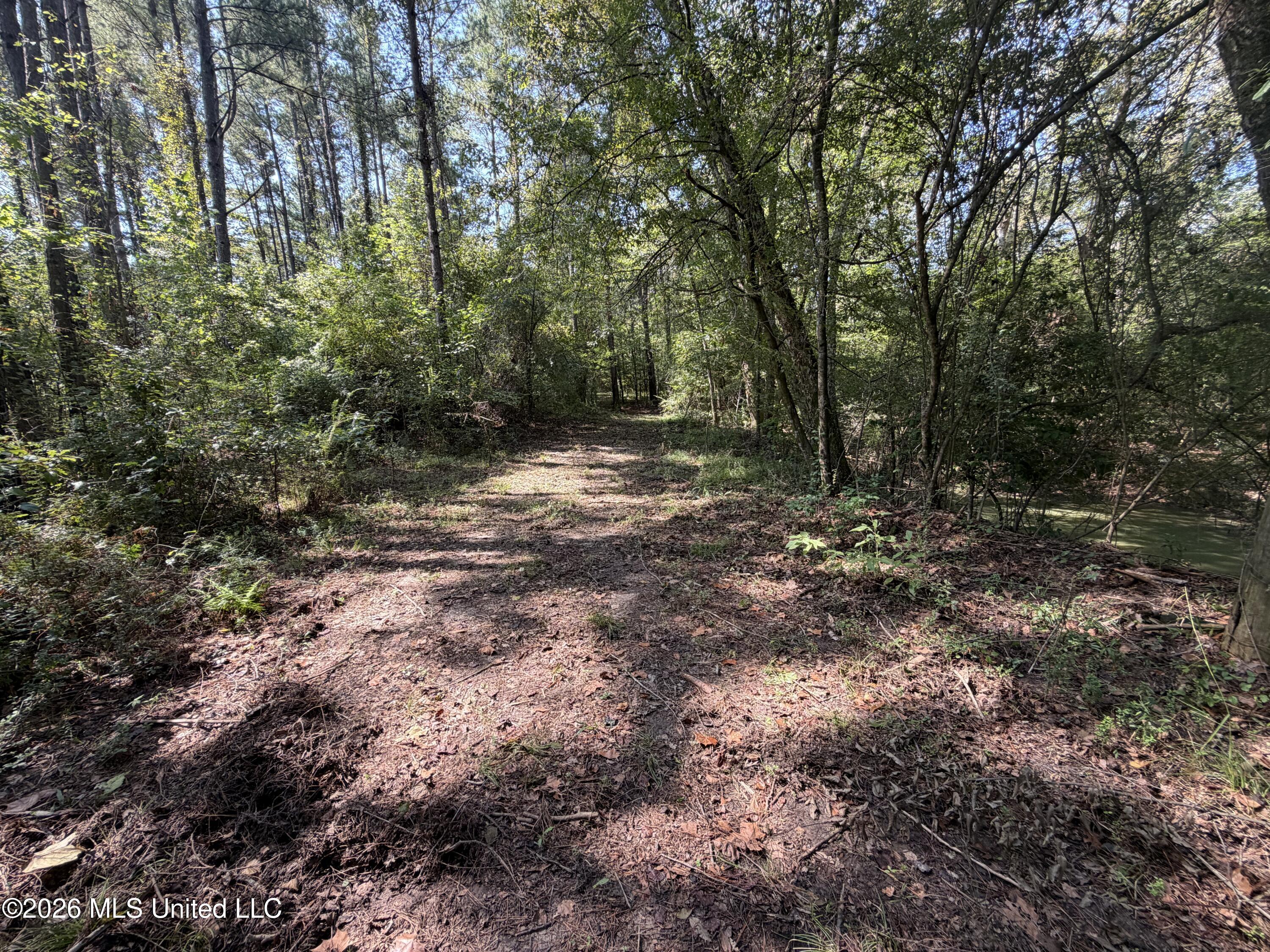 Mississippi 18 Property Photo 35