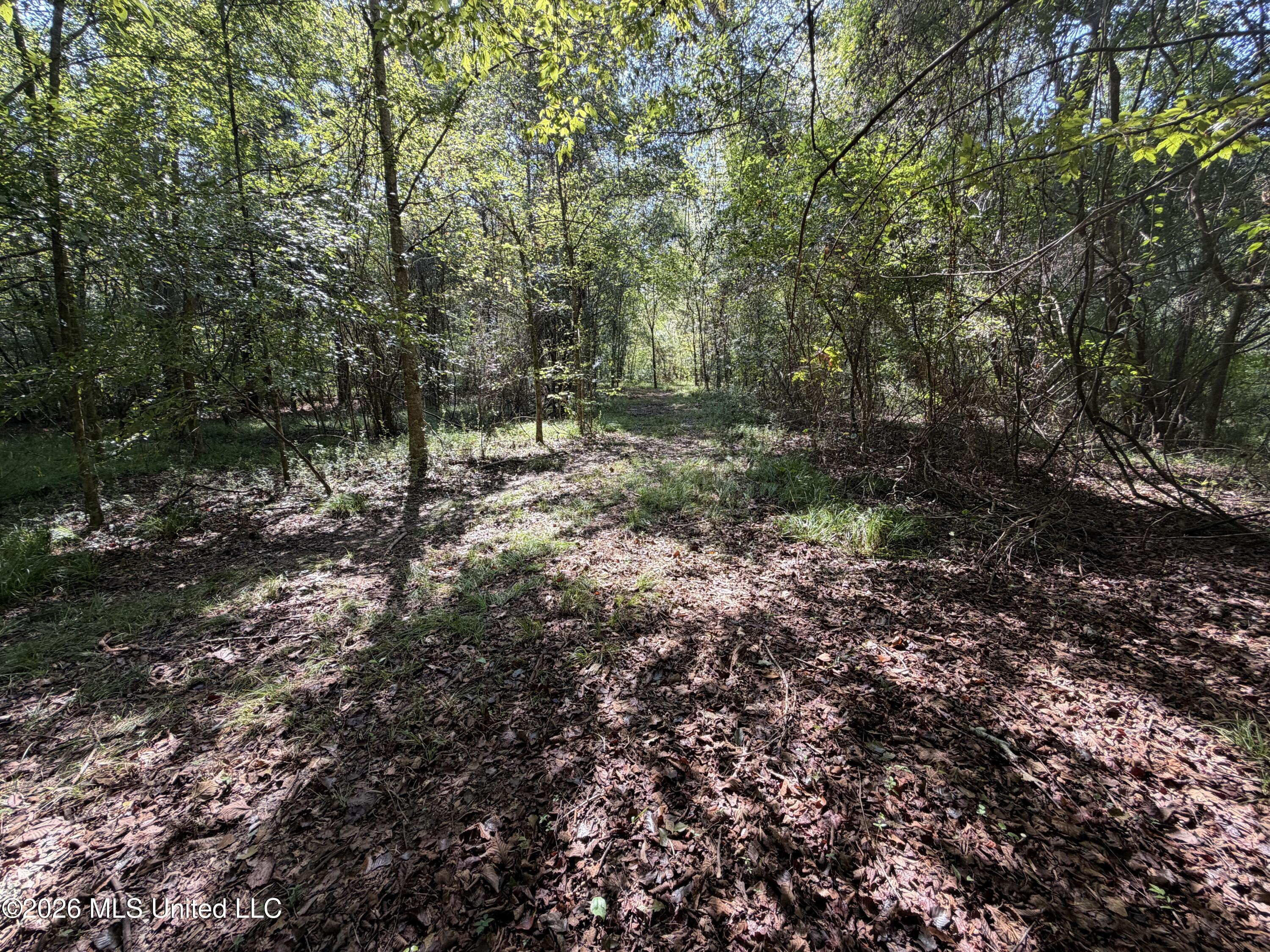 Mississippi 18 Property Photo 36