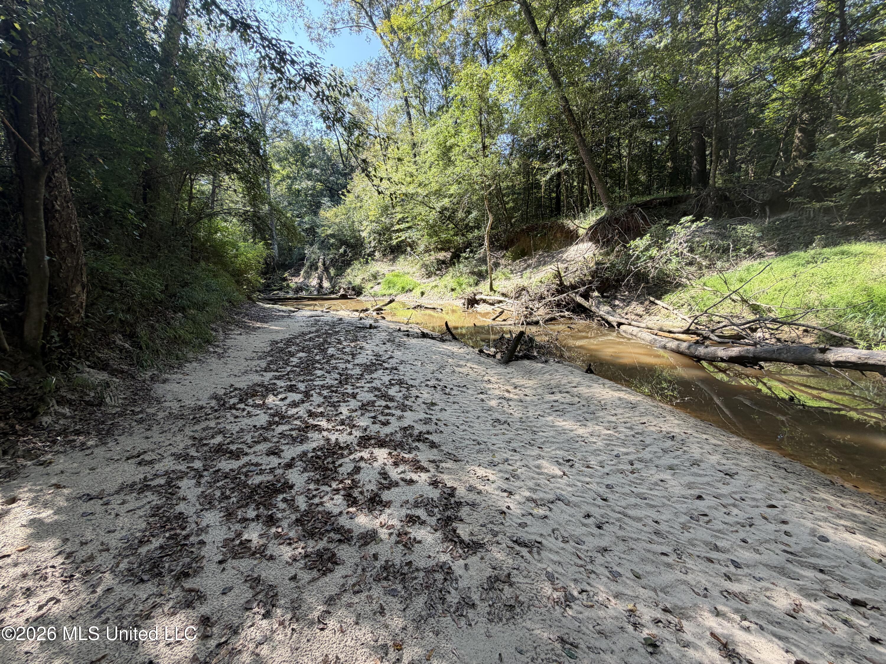 Mississippi 18 Property Photo 37