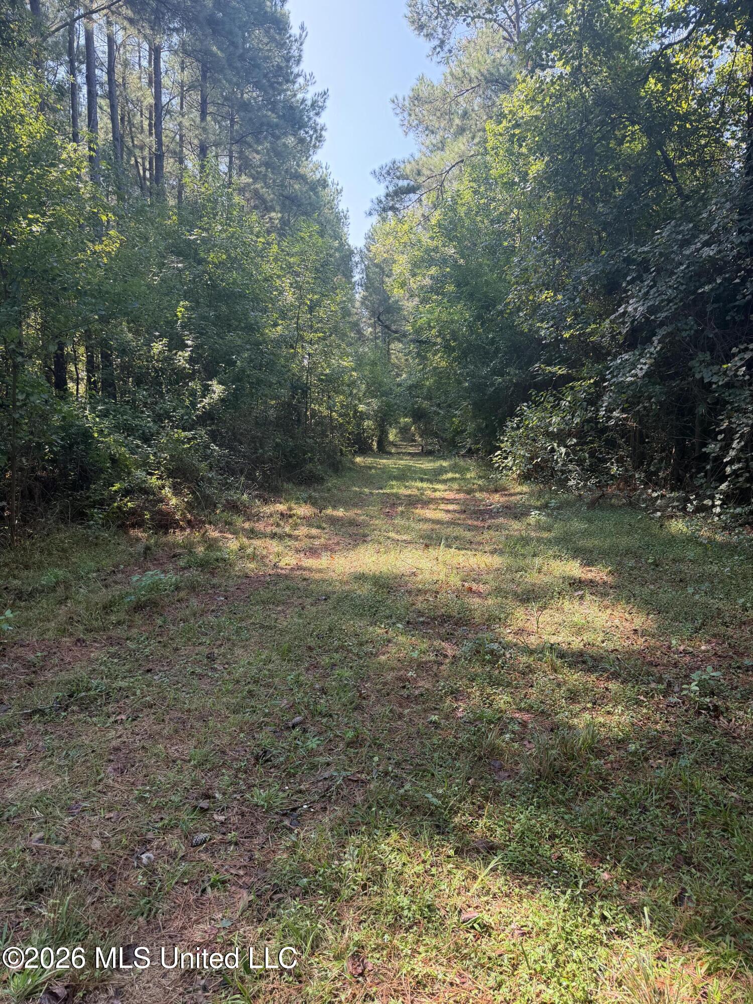 Mississippi 18 Property Photo 50