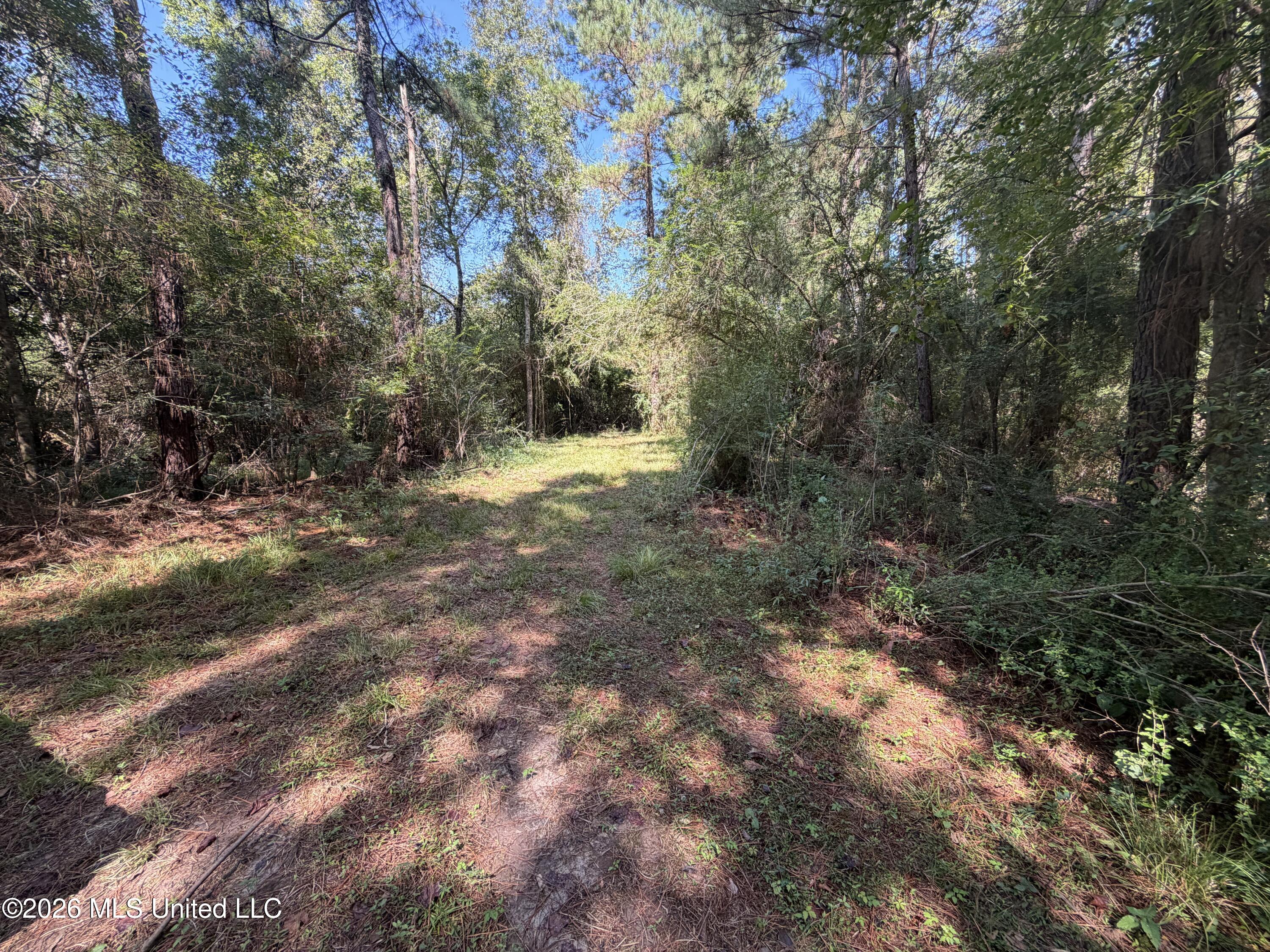 Mississippi 18 Property Photo 52