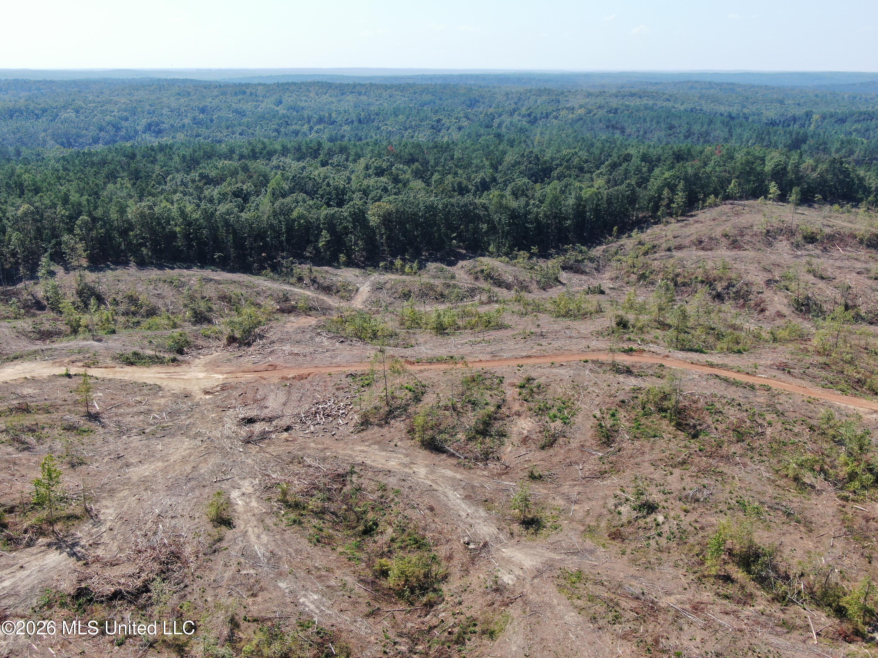350 Baumann Road Property Photo 5