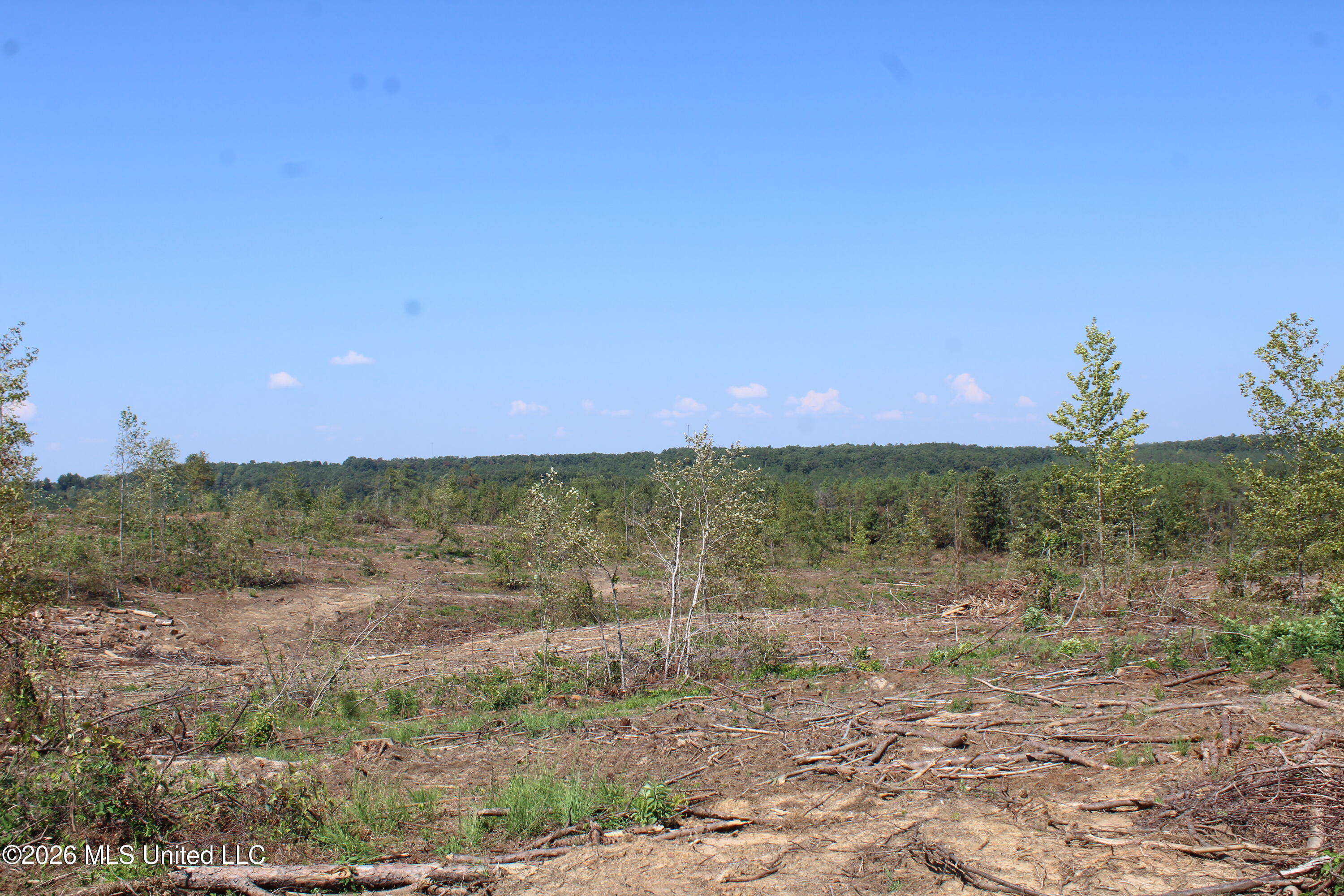 350 Baumann Road Property Photo 11