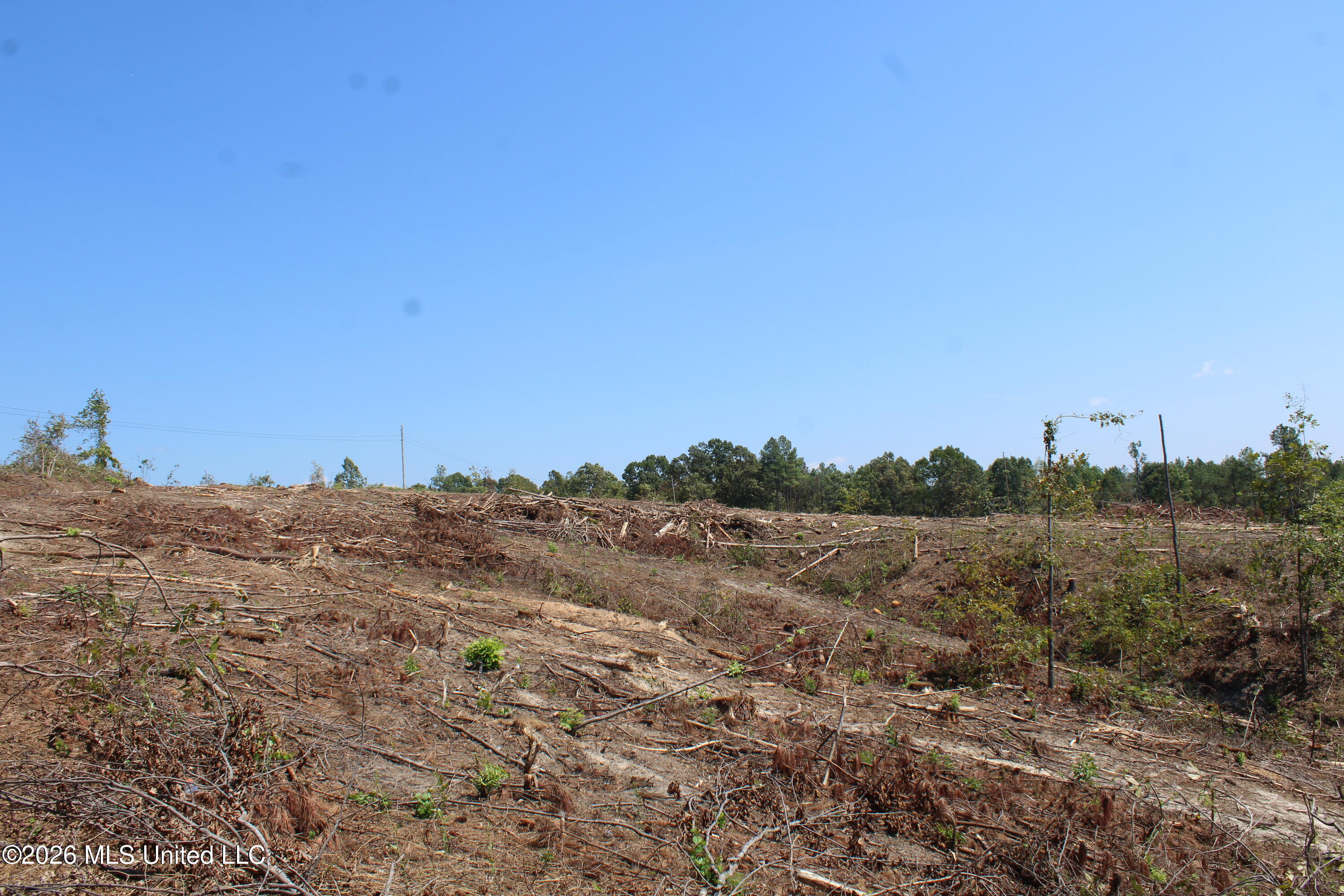350 Baumann Road Property Photo 13