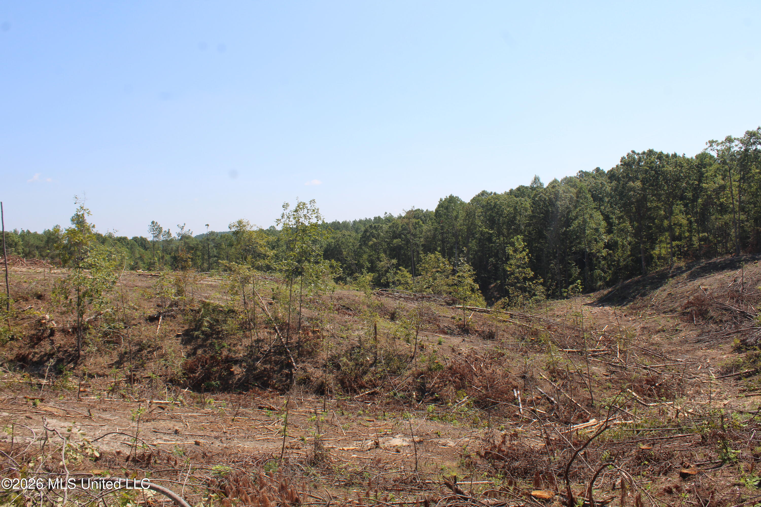 350 Baumann Road Property Photo 14