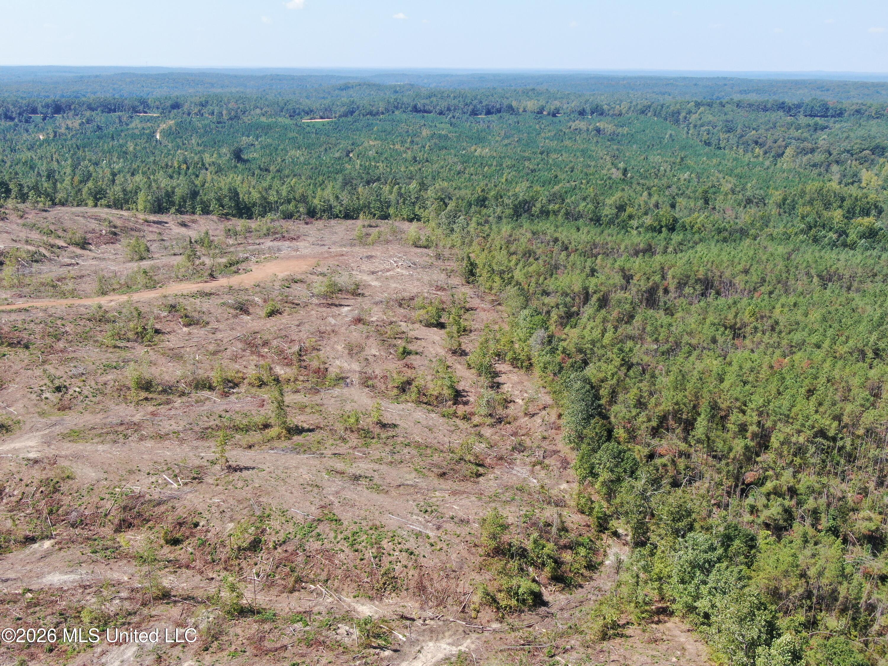 350 Baumann Road Property Photo 15
