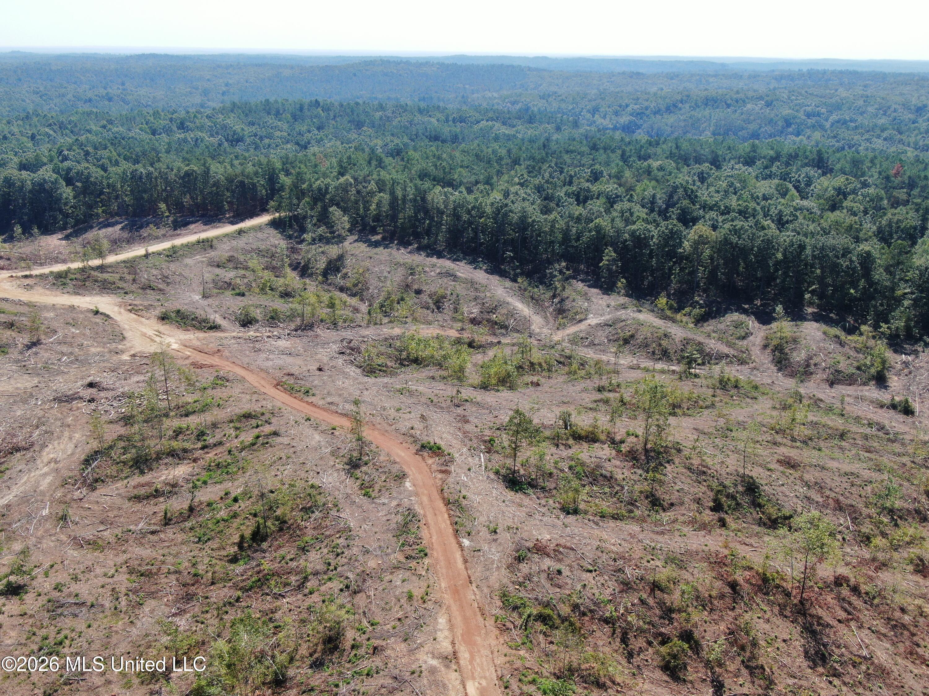 350 Baumann Road Property Photo 16