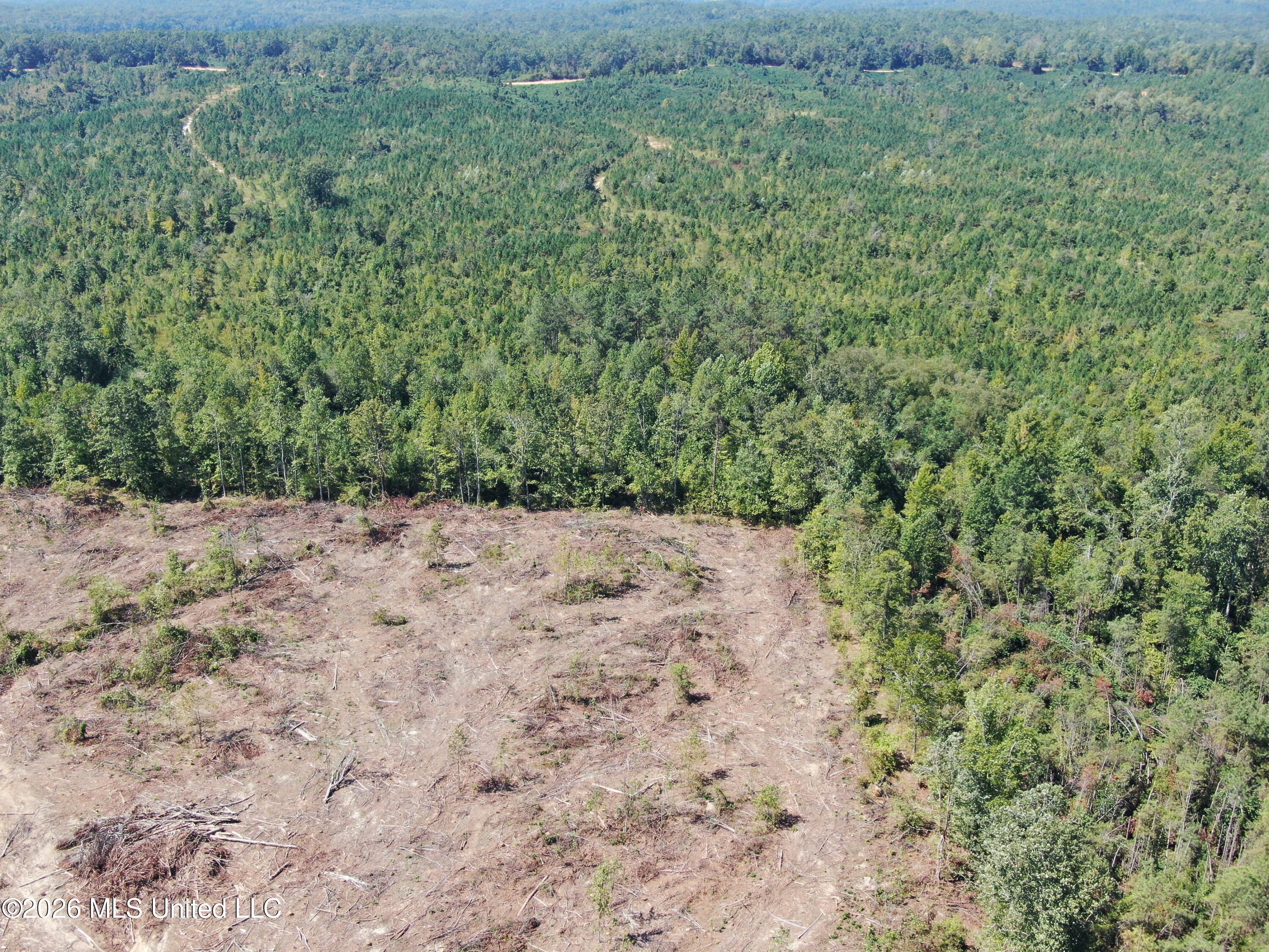 350 Baumann Road Property Photo 17