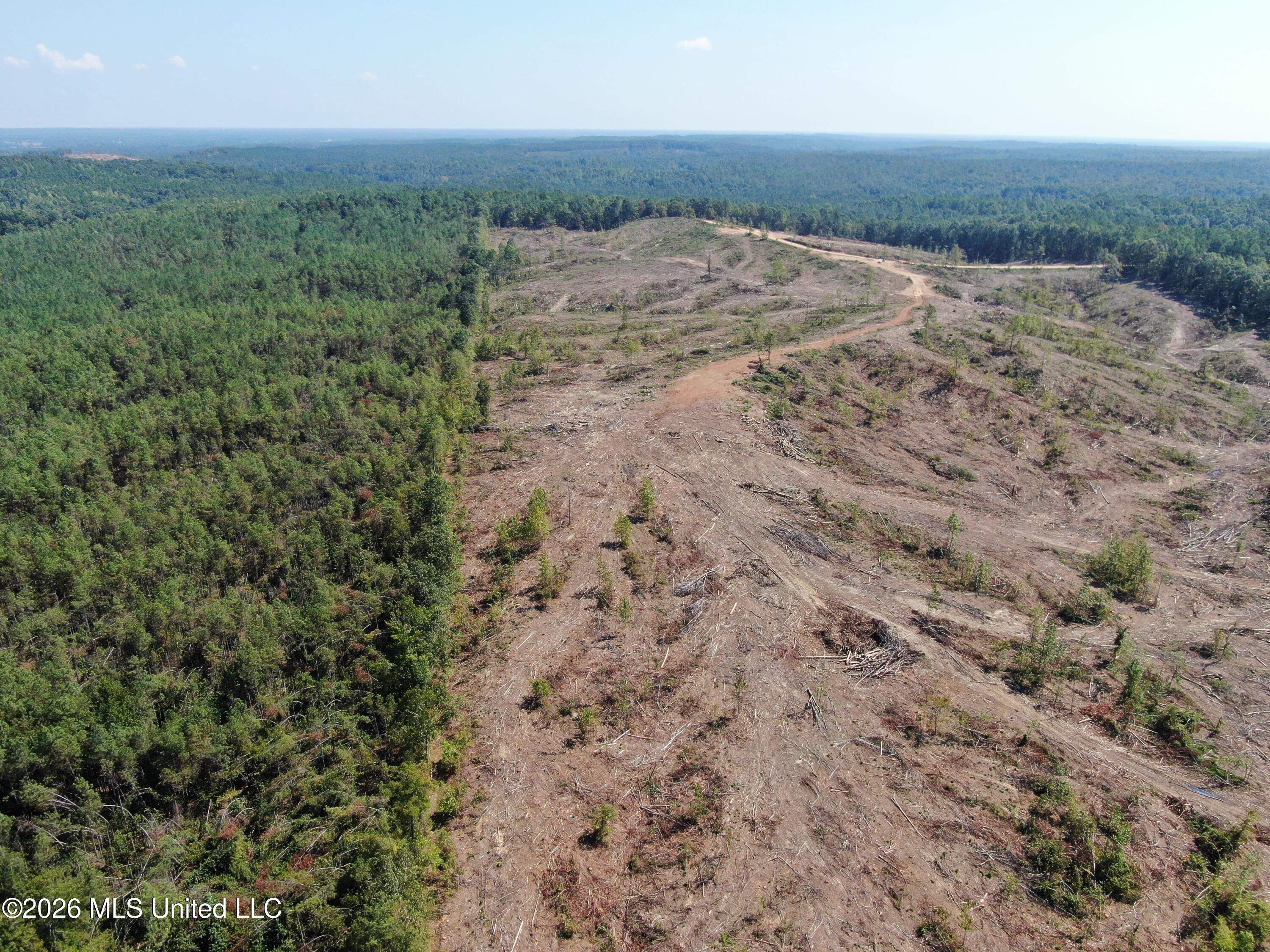 350 Baumann Road Property Photo 18