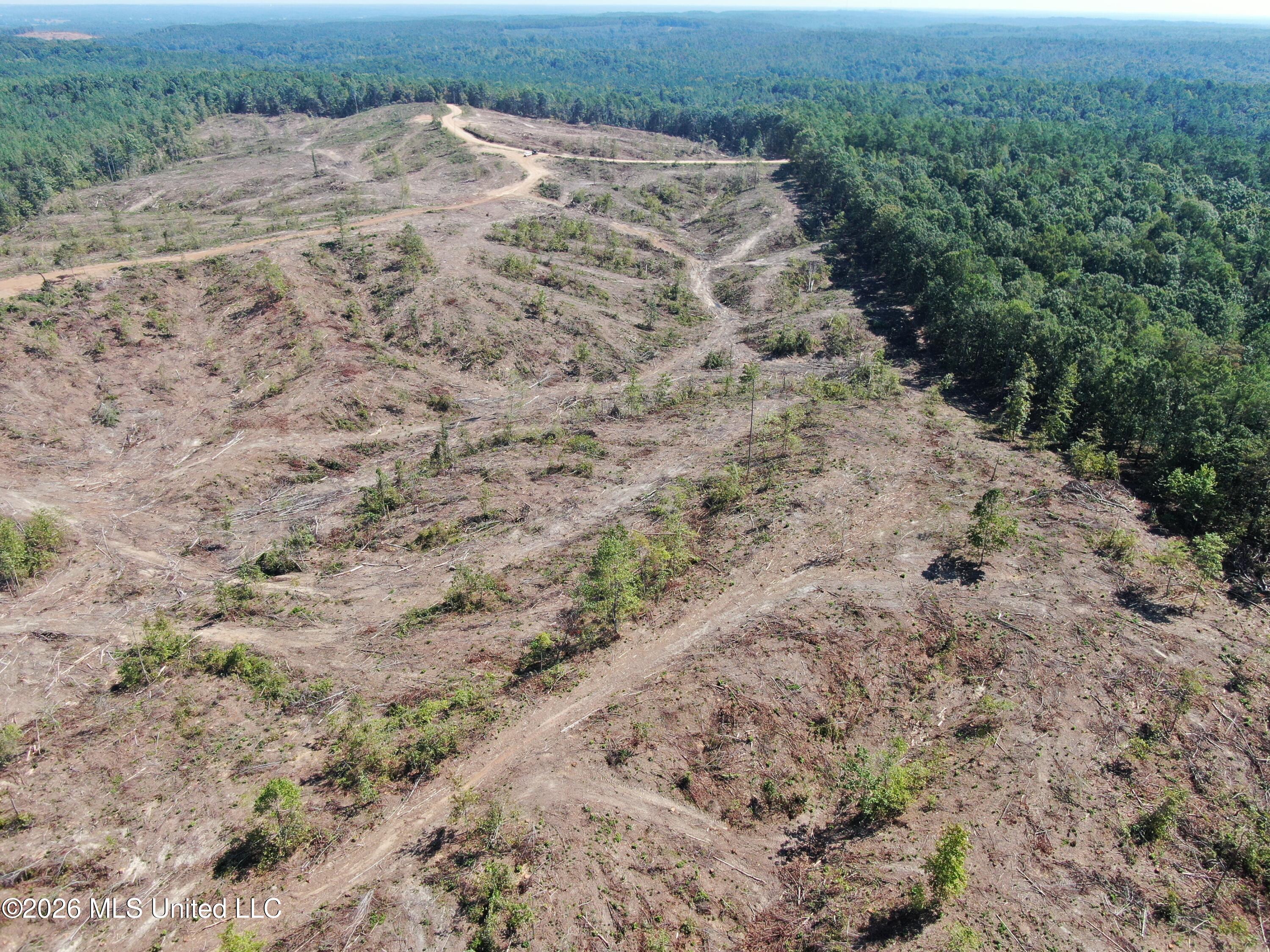 350 Baumann Road Property Photo 19