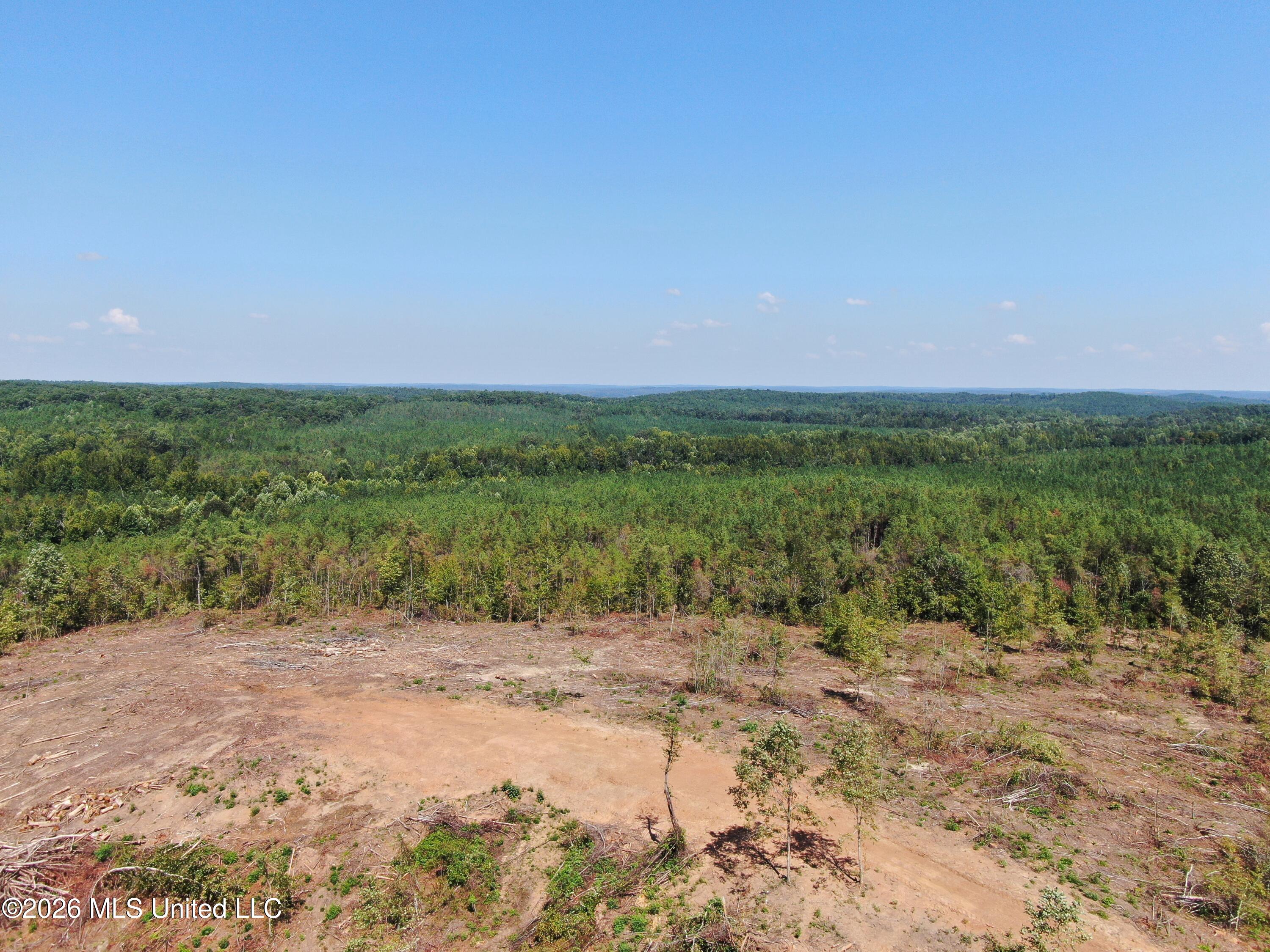350 Baumann Road Property Photo 21
